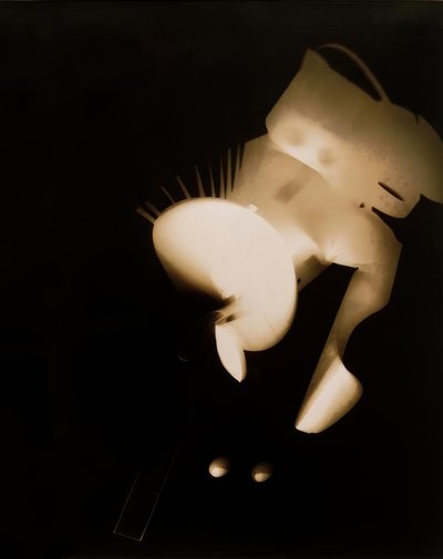 Ohne Titel von Laszlo Moholy Nagy
