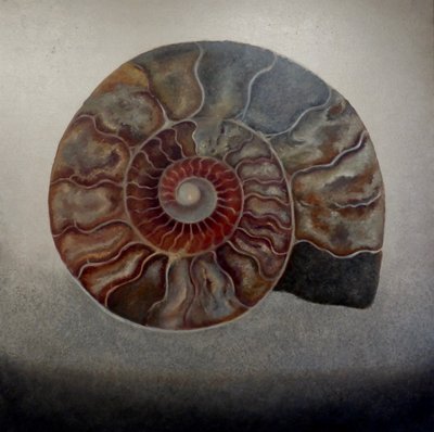 Silberne Ammonit von Lee Campbell