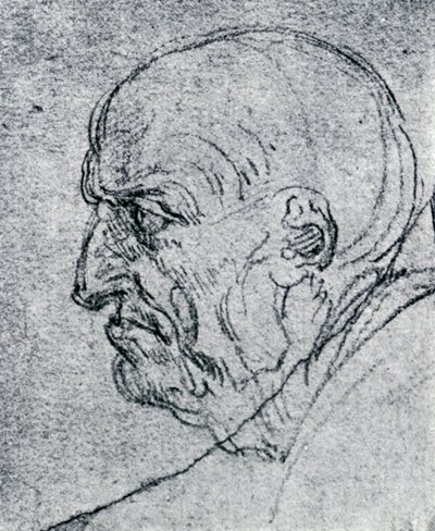 Kopf eines alten Mannes von Leonardo da Vinci