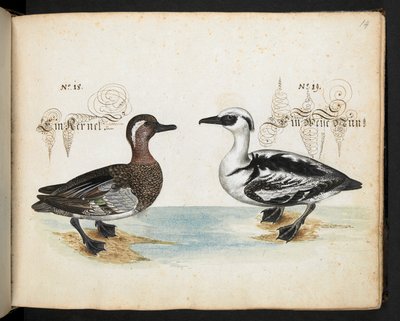 Add MS 6485 von Leonhard Baldner