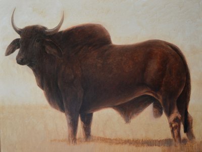Brahmanenbulle von Lincoln Seligman