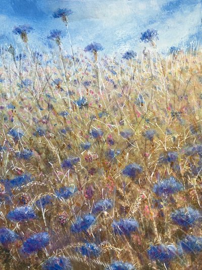 Kornblumen 2 von Lincoln Seligman