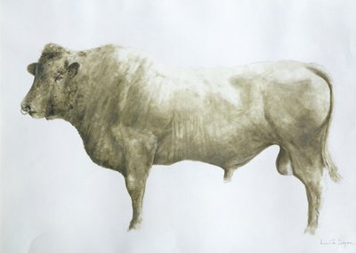 Islay-Bulle, 2004 (Acryl auf Leinwand) von Lincoln Seligman