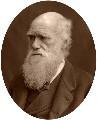 Charles Darwin, 1878 von Lock and Whitfield