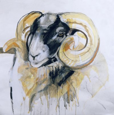 Langhornschaf von Lou Gibbs