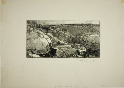 Der Zirkus von Long-Rocher von Louis Auguste Lepère