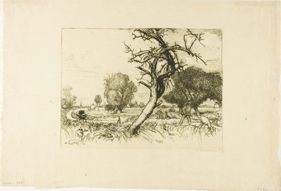 Der tote Apfelbaum von Louis Auguste Lepère