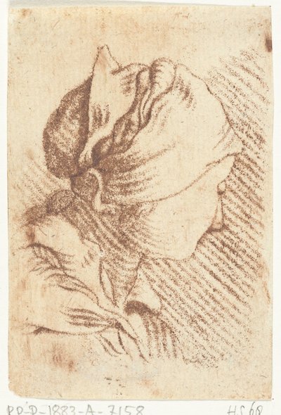 Studienblatt mit einem Frauenkopf mit Kopftuch von Louis Bernard Coclers