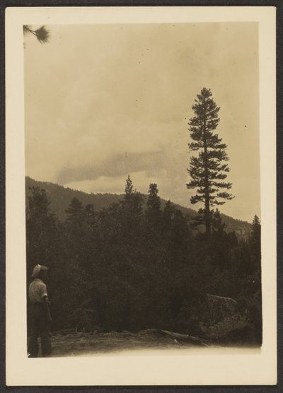 Idyllwild von Louis Fleckenstein