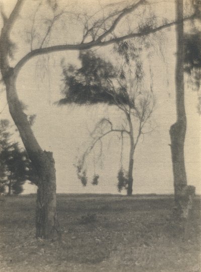 Landschaft mit Bäumen von Louis Fleckenstein