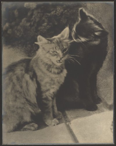 Die Ständchenbringer von Louis Fleckenstein