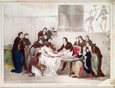 Die Anatomie-Lektion (Lithographie) von Louis Thomas Bardel