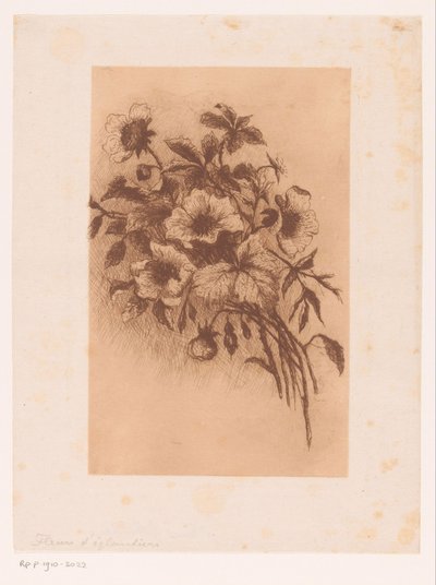 Blumen von Louise Elsen (attributed to)