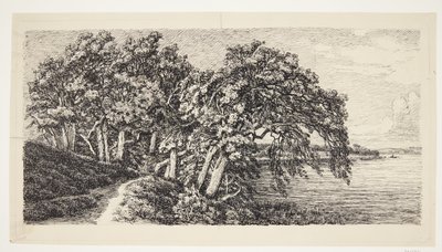 Alte Eichen bei Hald Sø von Louise Ravn Hansen