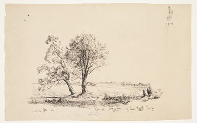 Landschaft mit Weiden an einem Wasserlauf von Louise Ravn Hansen