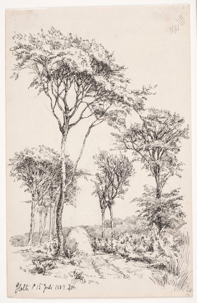 Waldlandschaft mit freistehenden Bäumen von Louise Ravn Hansen