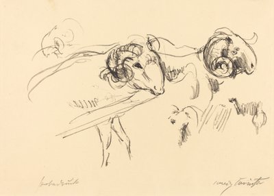 Schafböcke von Lovis Corinth