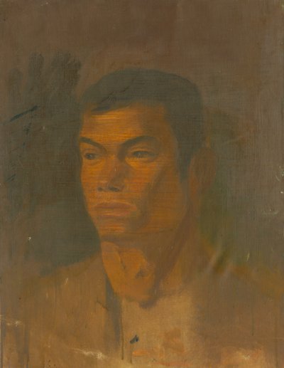 Kopf eines Zigeunerjungen von Laszlo Mednyanszky