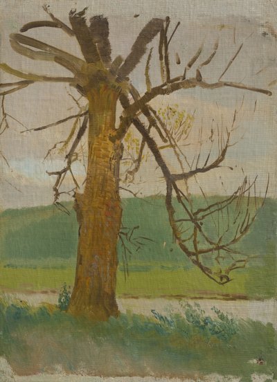 Baum am Fluss von Laszlo Mednyanszky