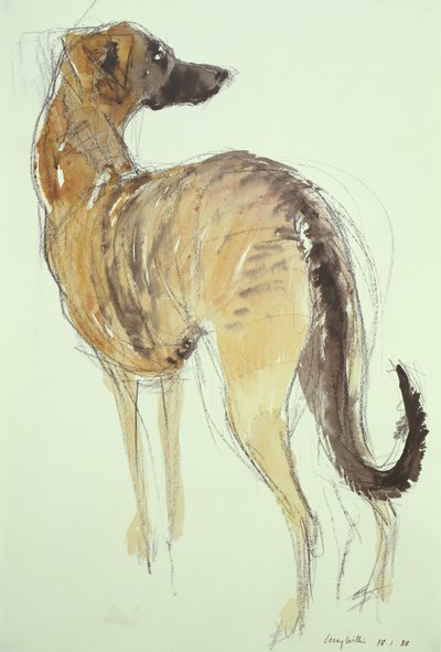 Lurcher stehend von Lucy Willis