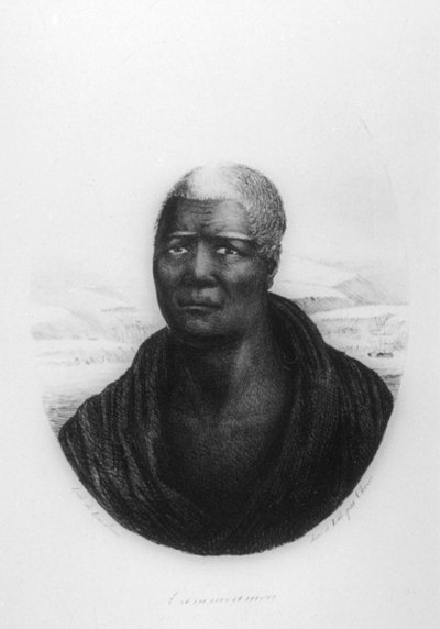 Kamehameha I., Hawaii, 1816 von Ludwig Choris