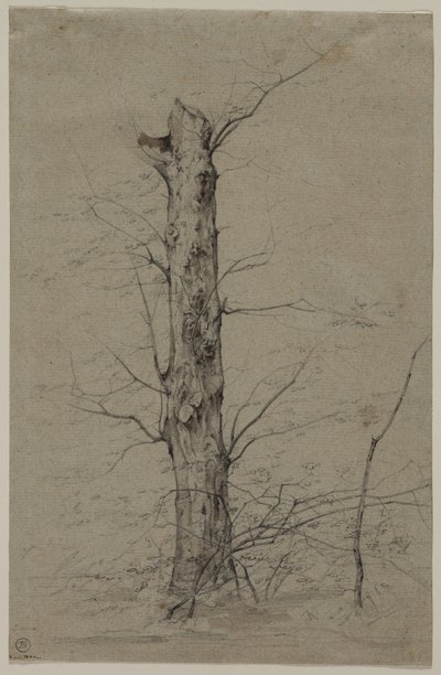 Baum, um 1835-45 von Ludwig Ferdinand Schnorr von Carolsfeld