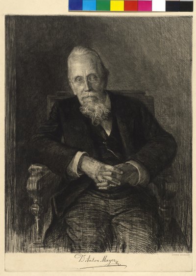 Anton Mayer von Ludwig Michalek