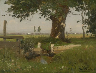 Sommerliche Wiesenlandschaft in Kärnten von Ludwig Willroider