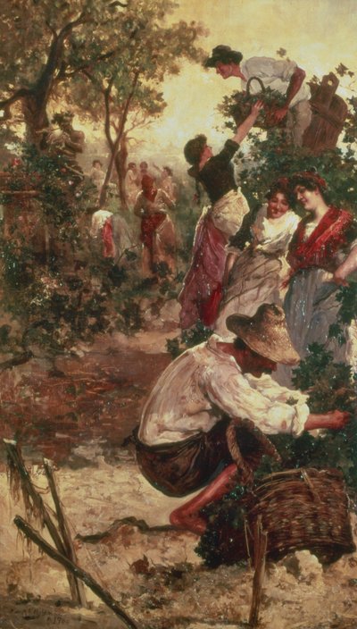 Die Weinlese von M.F. Moles