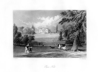 Pains Hill, Surrey, 19. Jahrhundert von M. J. Starling