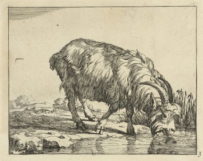 Trinkender Bock von Marcus de Bye