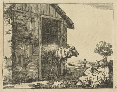 Schaf bei Schafstall von Marcus de Bye