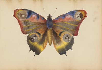 Das Madame B Album, 1870er Jahre von Marie Blanche Hennelle Fournier