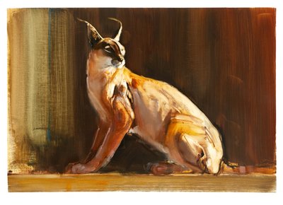 Arabischer Karakal, 2010 von Mark Adlington