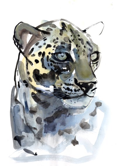 Arabischer Leopard, 2008 von Mark Adlington