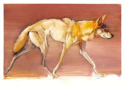Arabischer Wolf, 2010 von Mark Adlington