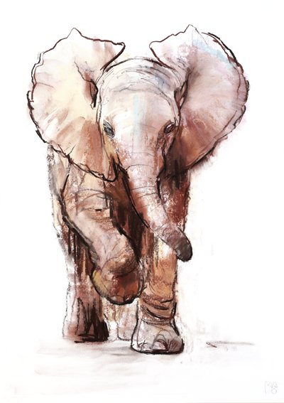 Baby-Elefant, Loisaba, 2018 von Mark Adlington