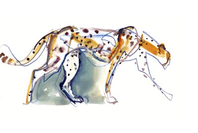 Gepard, 2022 von Mark Adlington