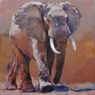 Trockenzeit, Loisaba von Mark Adlington