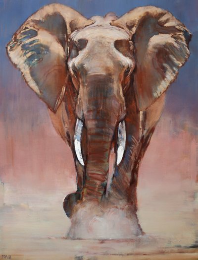 Staubbad, Loisaba von Mark Adlington