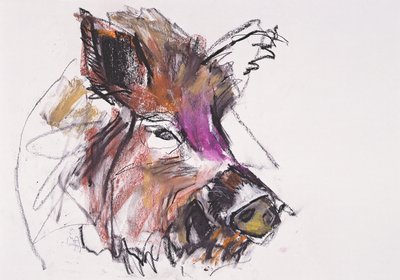 Dzik von Mark Adlington