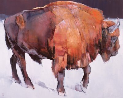 Europäischer Bison von Mark Adlington
