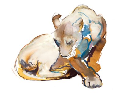 Feline Farbe (Löwin), 2020 von Mark Adlington