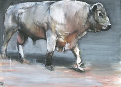 Fresno, Galloway-Bulle von Mark Adlington