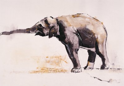 Indischer Elefant, Khana von Mark Adlington