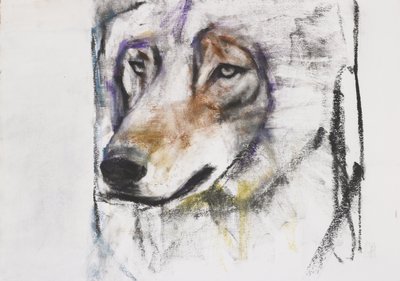 Prozess gegen den Wolf von Mark Adlington