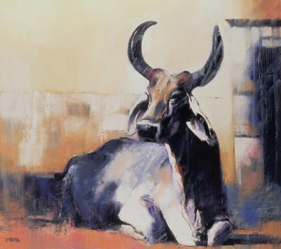 Heilige Kuh, Bhuj, 1996 von Mark Adlington