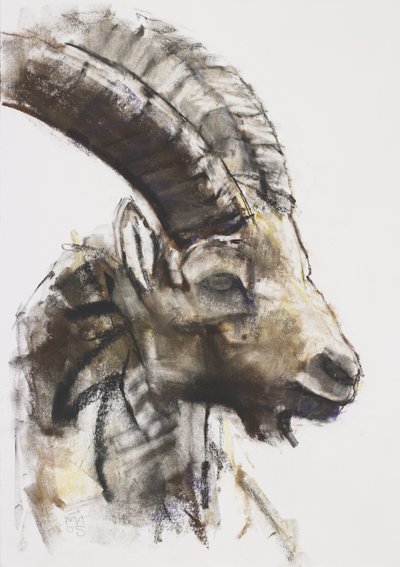 Testa, 2005 von Mark Adlington