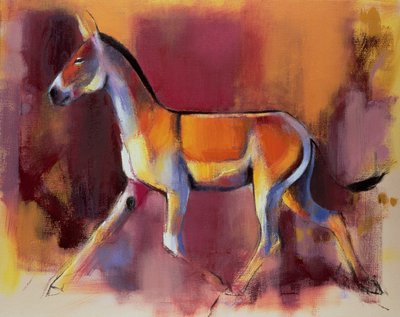 Wilder Esel, Rann von Kutch, 1996 von Mark Adlington
