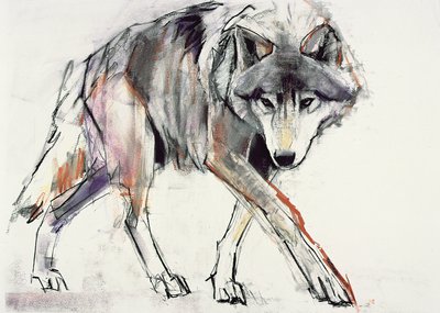 Wolf von Mark Adlington